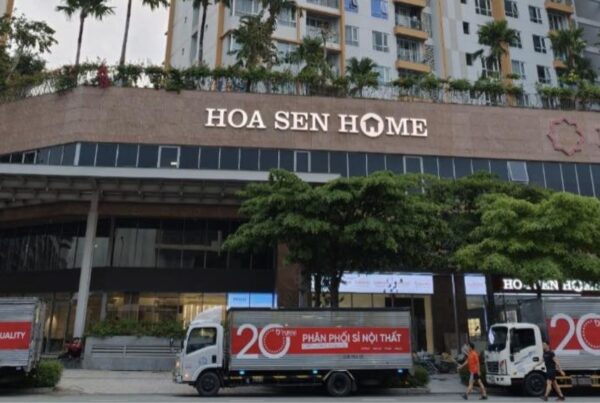 hoa sen 13