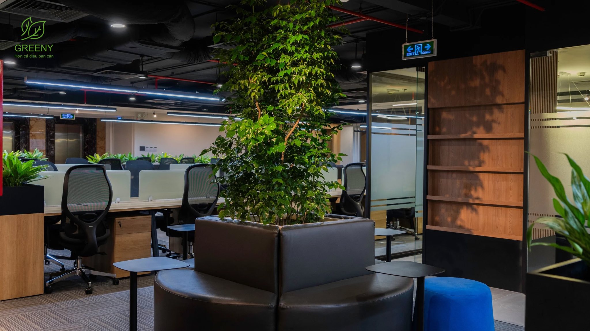 Công ty Phân bón Dầu khí Cà Mau 3 dam ca mau 1