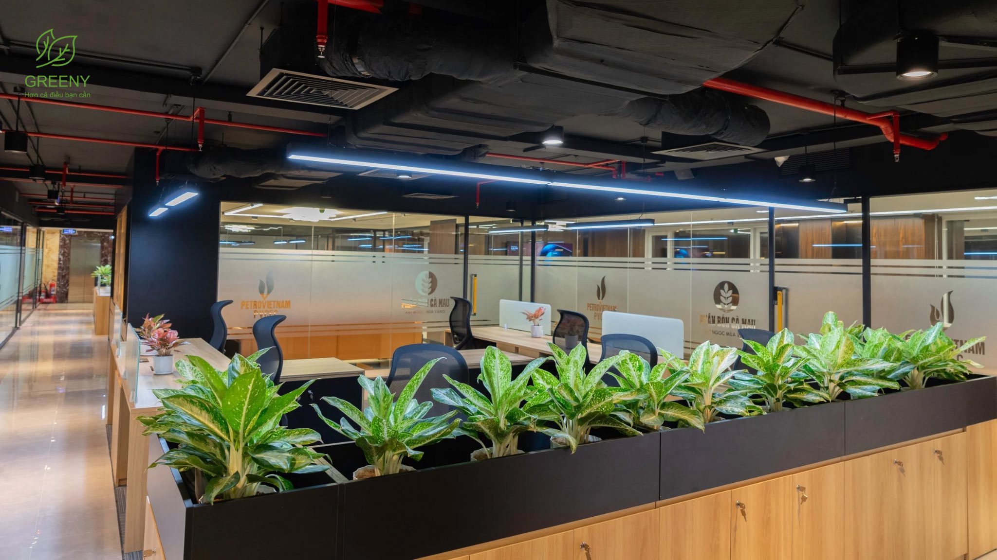 Công ty Phân bón Dầu khí Cà Mau 4 dam ca mau 11