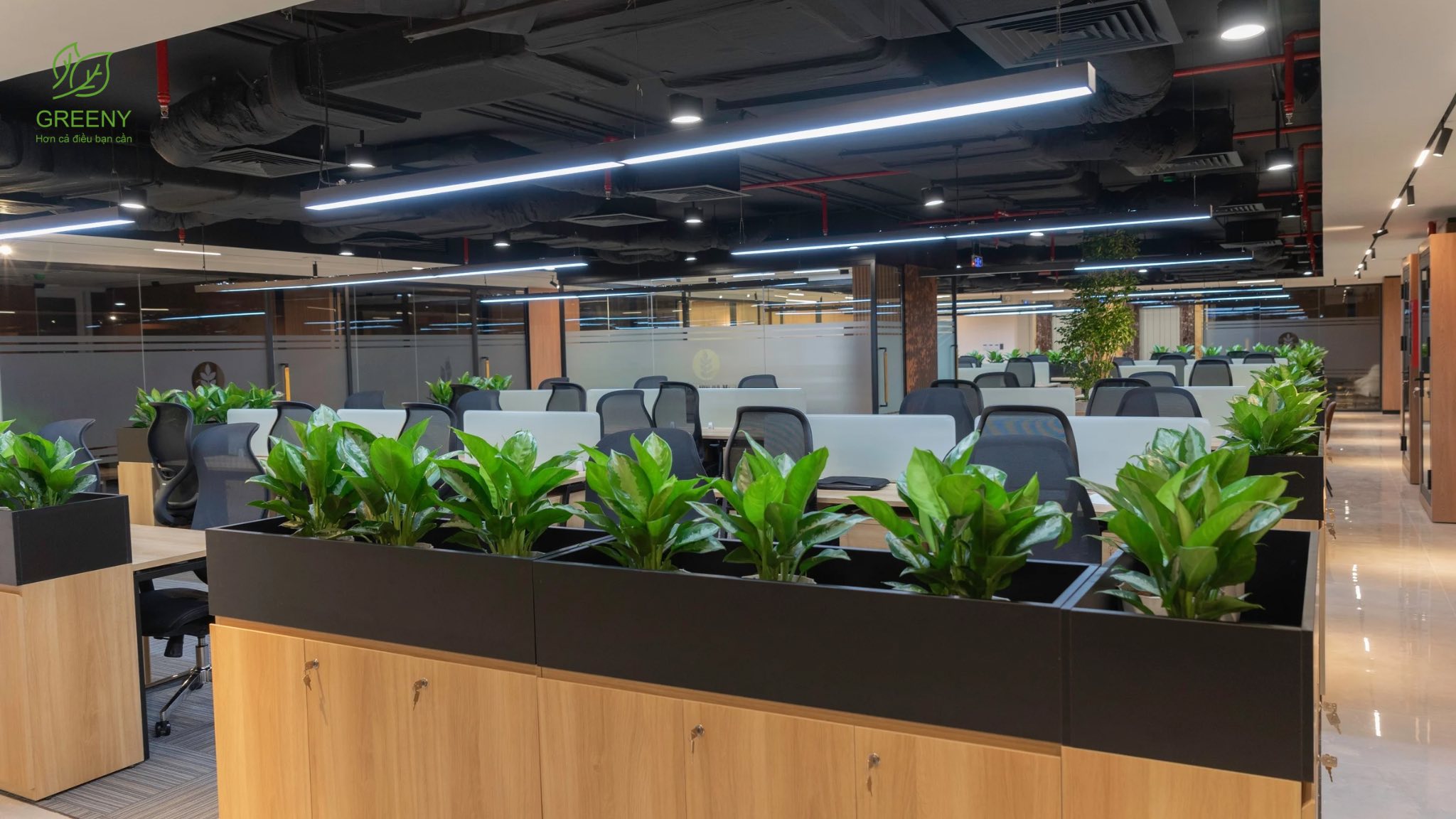 Công ty Phân bón Dầu khí Cà Mau 5 dam ca mau 14