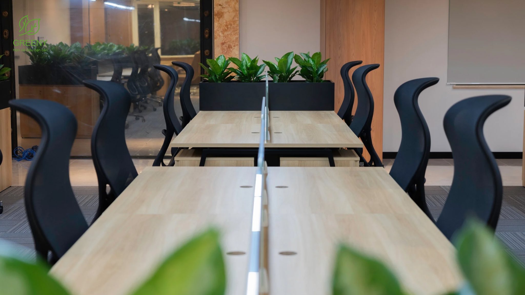 Công ty Phân bón Dầu khí Cà Mau 6 dam ca mau 15