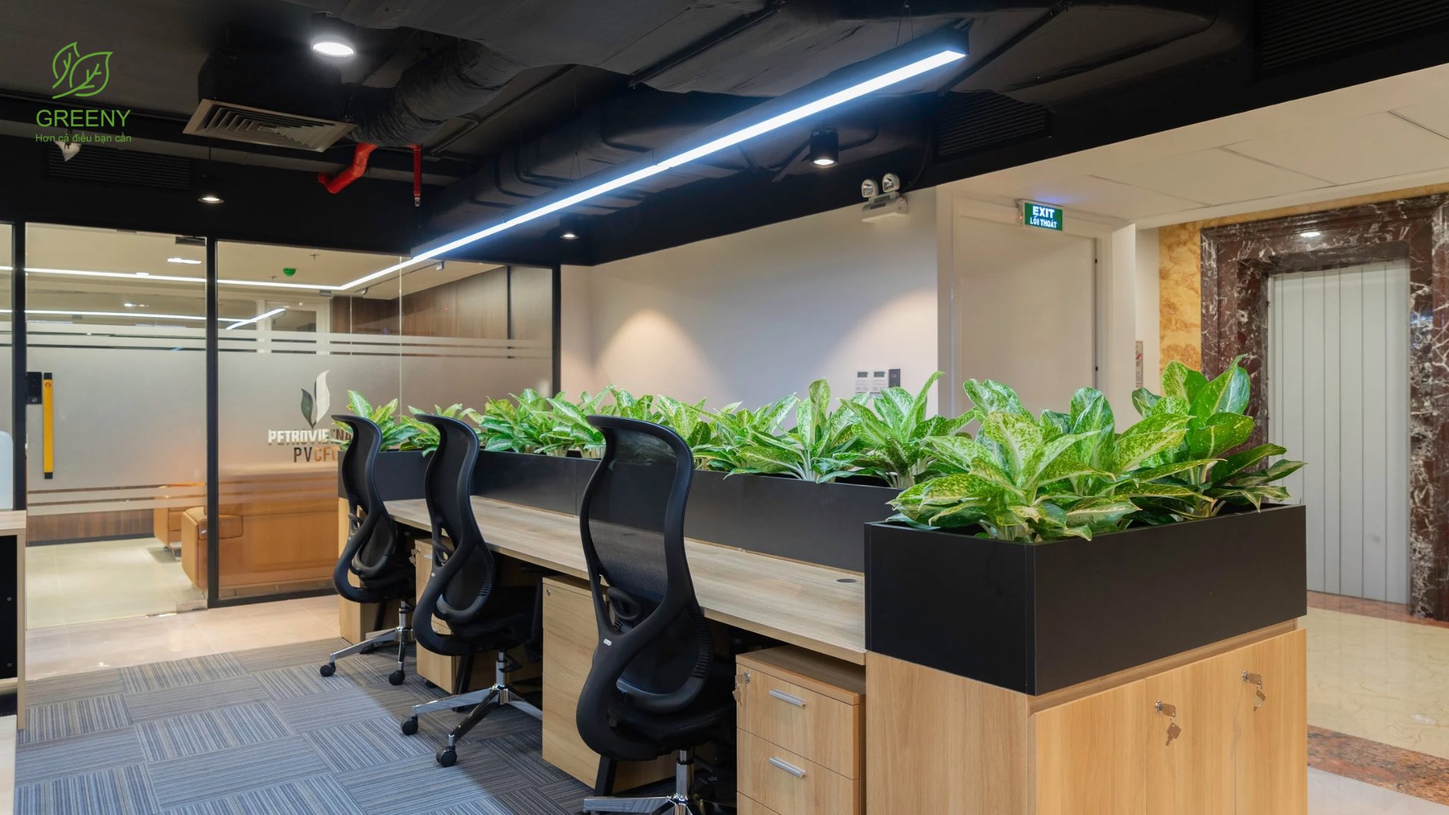 Công ty Phân bón Dầu khí Cà Mau 8 dam ca mau 16