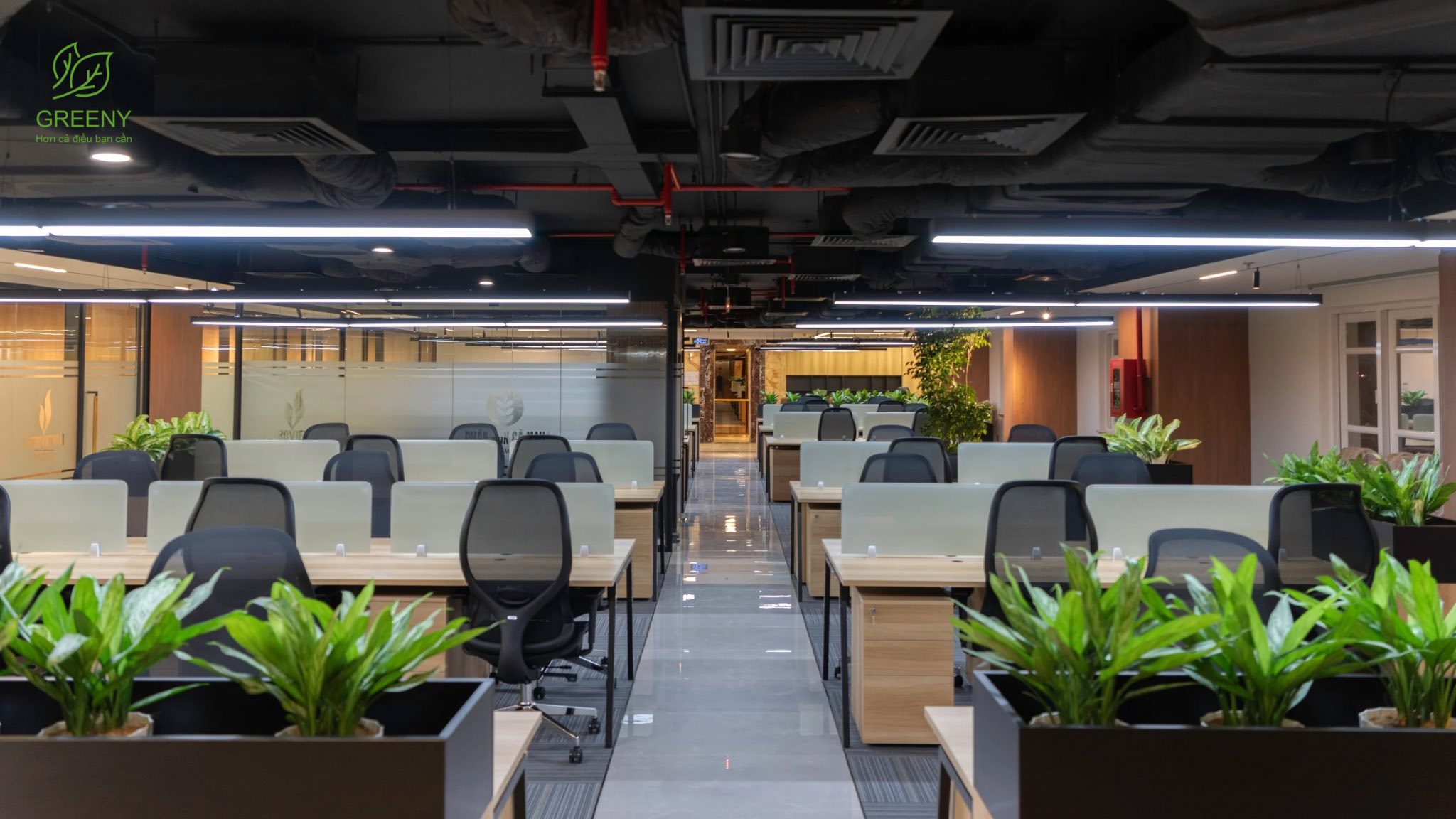 Công ty Phân bón Dầu khí Cà Mau 7 dam ca mau 17