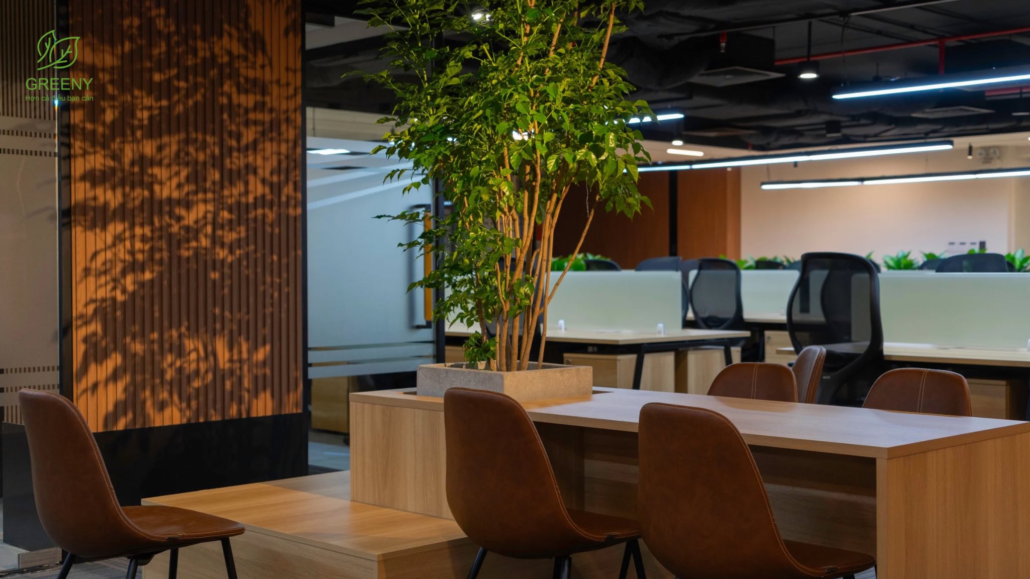 Công ty Phân bón Dầu khí Cà Mau 9 dam ca mau 8